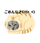 犬猫☆（個別スタンプ：27）