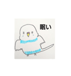 おうちのセキセイインコ（個別スタンプ：2）