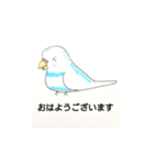 おうちのセキセイインコ（個別スタンプ：4）