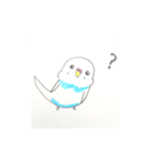 おうちのセキセイインコ（個別スタンプ：8）