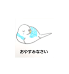 おうちのセキセイインコ（個別スタンプ：14）