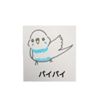 おうちのセキセイインコ（個別スタンプ：15）