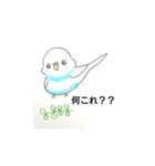 おうちのセキセイインコ（個別スタンプ：18）