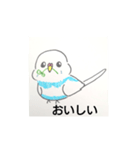 おうちのセキセイインコ（個別スタンプ：19）