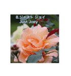 殿堂入りバラ17種 ROSE HALL OF FAME（個別スタンプ：9）