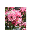 殿堂入りバラ17種 ROSE HALL OF FAME（個別スタンプ：12）