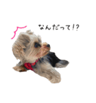 福と詩（個別スタンプ：15）