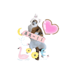 うちのにゃんず❤️可愛い❤️猫❤️日常❤️（個別スタンプ：8）