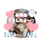 うちのにゃんず❤️可愛い❤️猫❤️日常❤️（個別スタンプ：14）