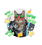 うちのにゃんず❤️可愛い❤️猫❤️日常❤️（個別スタンプ：26）