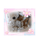 うちのにゃんず❤️可愛い❤️猫❤️日常❤️（個別スタンプ：32）