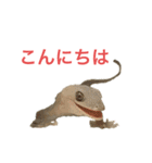 小さい家族たち（個別スタンプ：1）