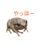 小さい家族たち（個別スタンプ：2）
