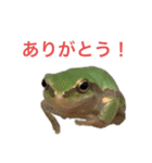 小さい家族たち（個別スタンプ：5）