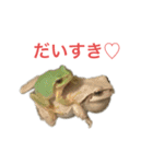 小さい家族たち（個別スタンプ：7）