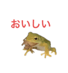 小さい家族たち（個別スタンプ：8）
