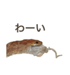 小さい家族たち（個別スタンプ：9）