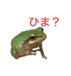 小さい家族たち（個別スタンプ：11）