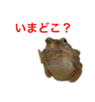 小さい家族たち（個別スタンプ：12）