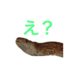 小さい家族たち（個別スタンプ：13）