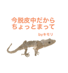 小さい家族たち（個別スタンプ：15）