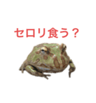 小さい家族たち（個別スタンプ：16）
