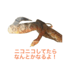 小さい家族たち（個別スタンプ：20）