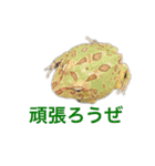 小さい家族たち（個別スタンプ：23）