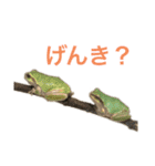 小さい家族たち（個別スタンプ：24）