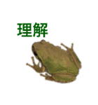 小さい家族たち（個別スタンプ：25）