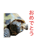 小さい家族たち（個別スタンプ：27）
