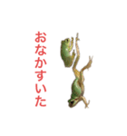 小さい家族たち（個別スタンプ：28）