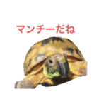 小さい家族たち（個別スタンプ：29）