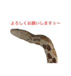 小さい家族たち（個別スタンプ：30）