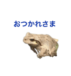 小さい家族たち（個別スタンプ：35）