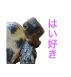 小さい家族たち（個別スタンプ：38）