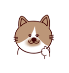 ねこのネロです。（個別スタンプ：2）