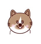 ねこのネロです。（個別スタンプ：5）