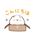 毎日あいさつ！ポメ（個別スタンプ：8）