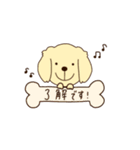 愛犬たちとわたしの生活（個別スタンプ：3）