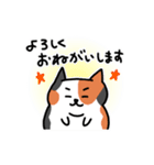 三毛猫のまるお（個別スタンプ：12）