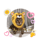 にゃんず❤️猫❤️日常❤️キジトラ❤️ミケ（個別スタンプ：2）
