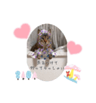 にゃんず❤️猫❤️日常❤️キジトラ❤️ミケ（個別スタンプ：4）