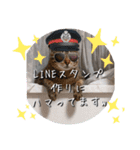 にゃんず❤️猫❤️日常❤️キジトラ❤️ミケ（個別スタンプ：8）