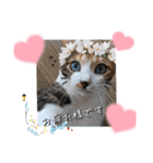 にゃんず❤️猫❤️日常❤️キジトラ❤️ミケ（個別スタンプ：10）