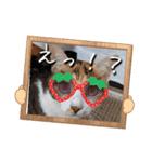 にゃんず❤️猫❤️日常❤️キジトラ❤️ミケ（個別スタンプ：24）
