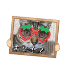 にゃんず❤️猫❤️日常❤️キジトラ❤️ミケ（個別スタンプ：25）
