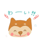 癒しのわんころ。〔柴犬〕（個別スタンプ：9）