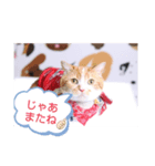 ピコスタイル②（個別スタンプ：4）