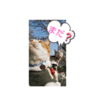 ピコスタイル②（個別スタンプ：6）